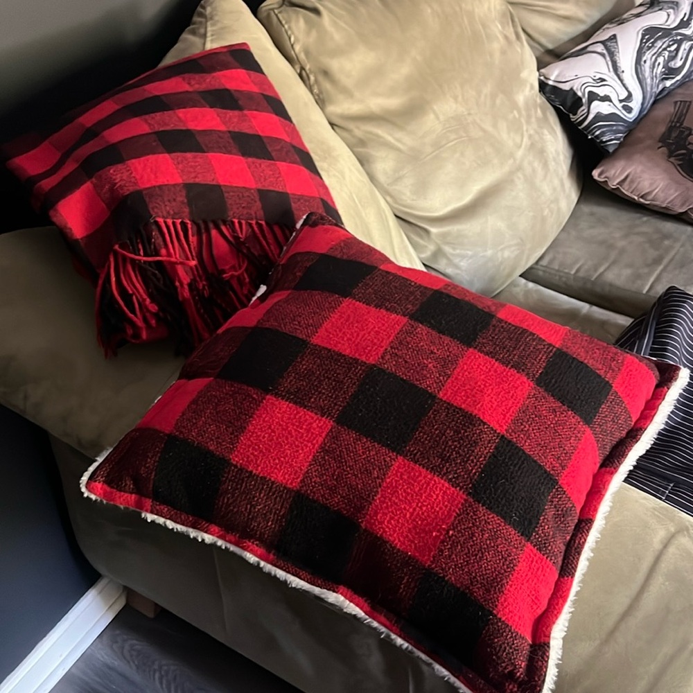 Soft buffalo plaid pillow and blanket!